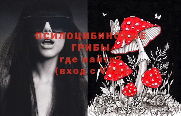apvp Баксан