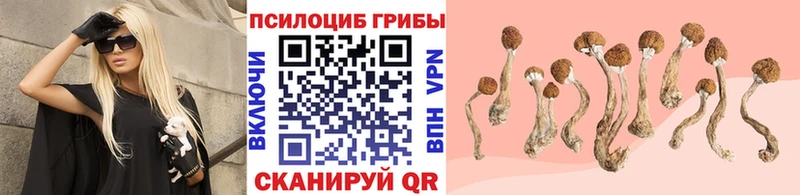 Псилоцибиновые грибы мицелий  Городище 